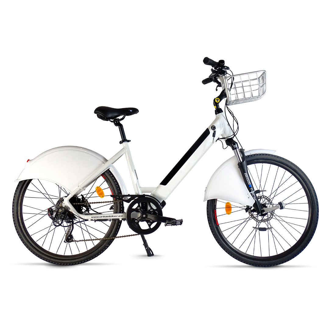 Ebike sidney 2021